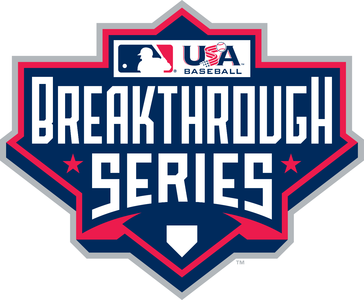 team logo