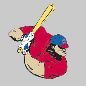 team logo