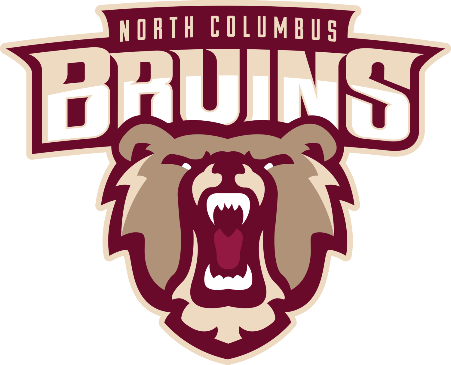 team logo