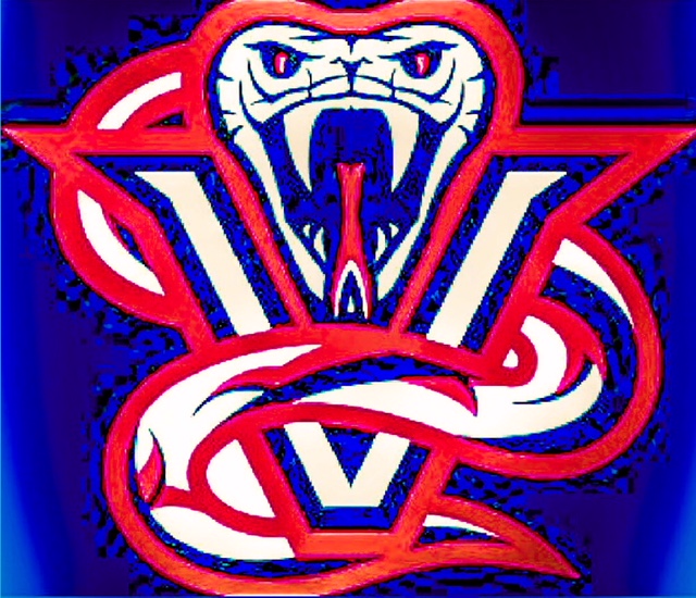 team logo