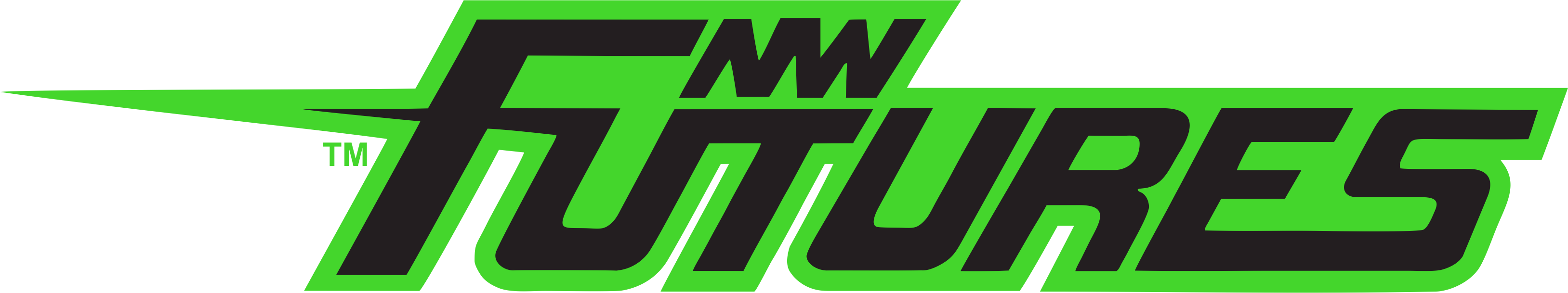 team logo