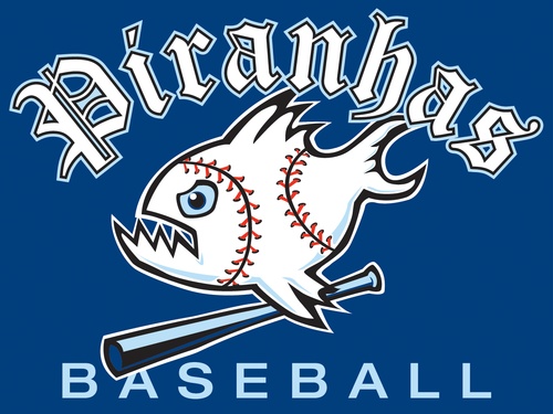team logo