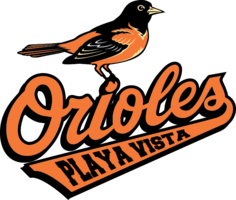 team logo