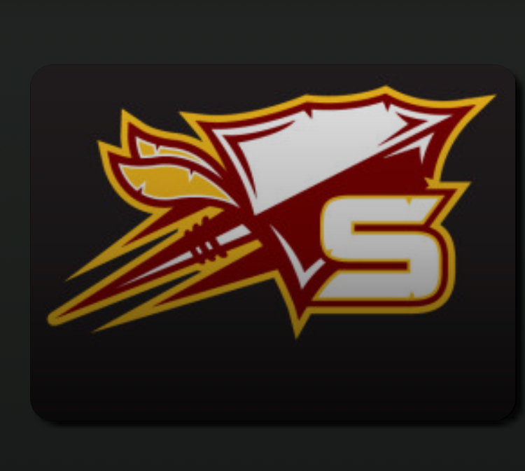 team logo