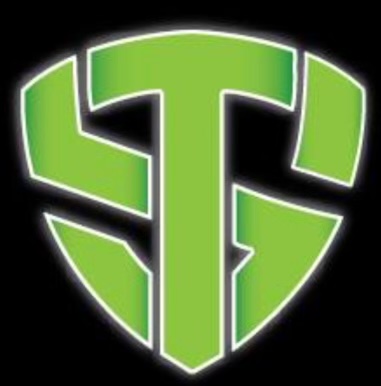 team logo