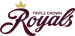 team logo