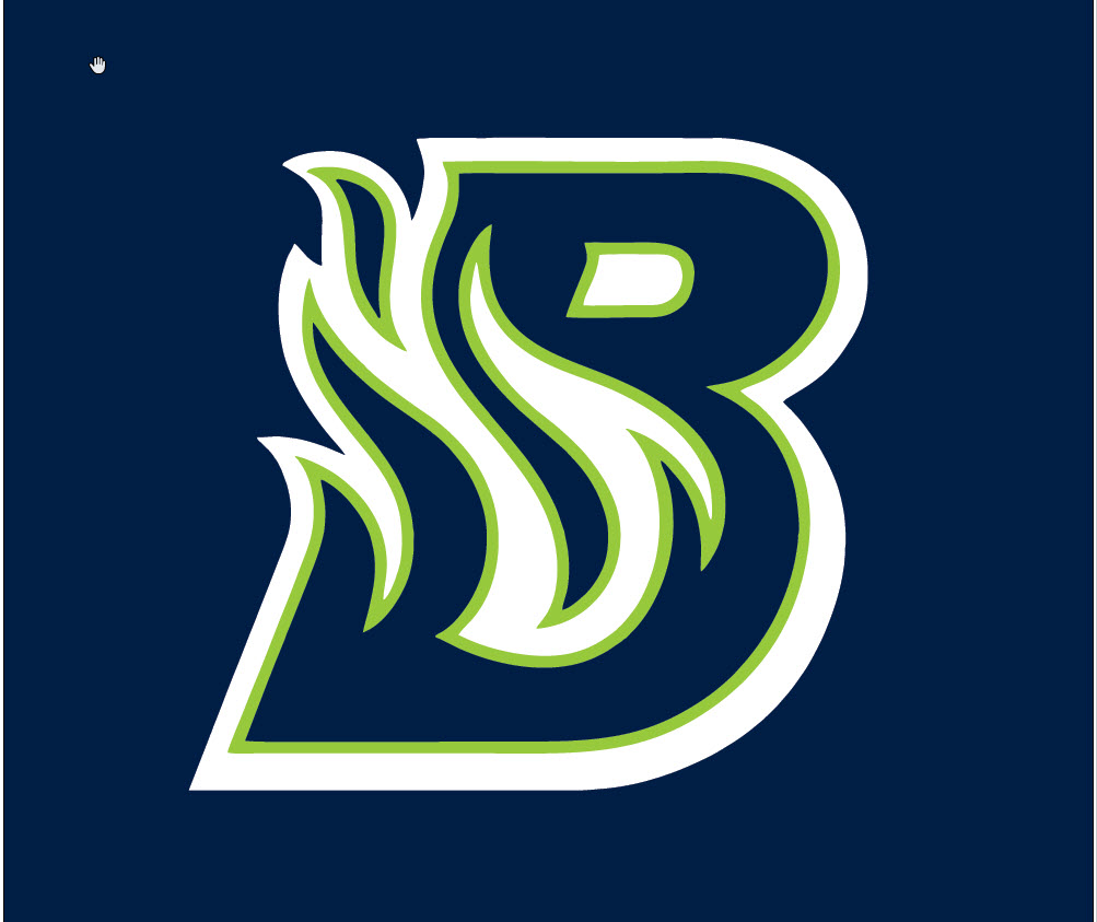 team logo