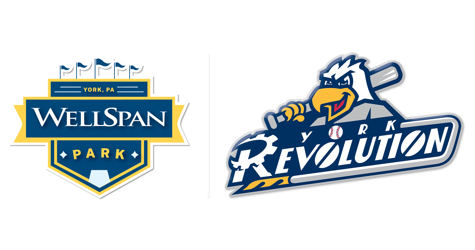 team logo